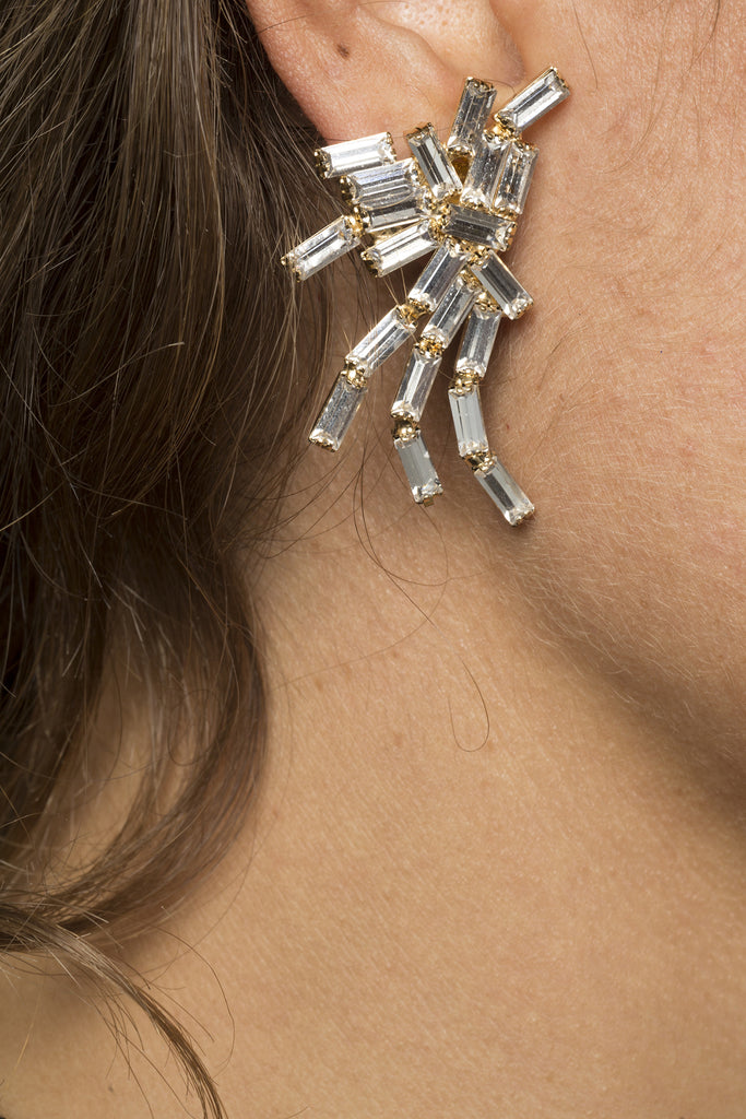 Silvia Gnecchi Super earrings