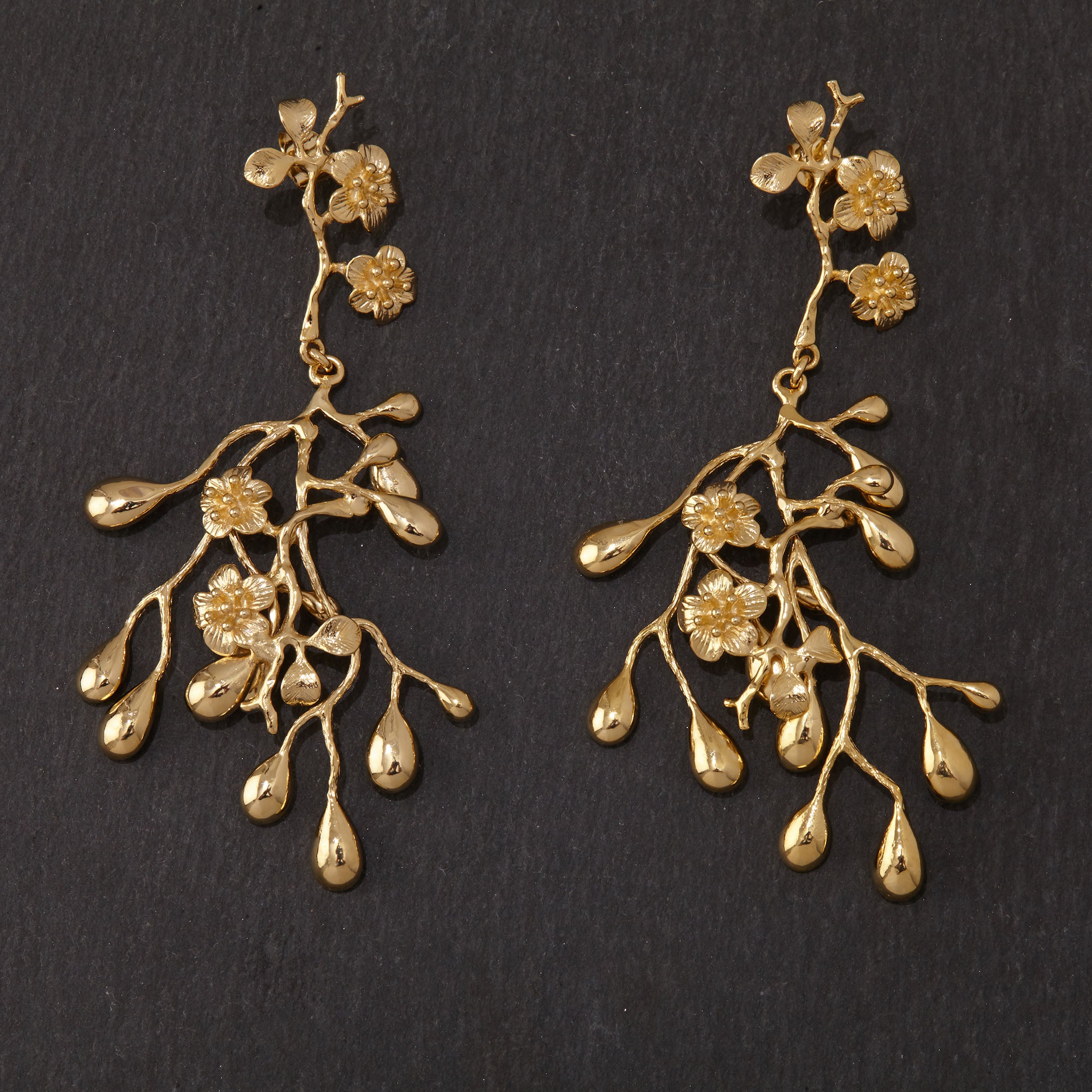 or020botanical.jpg